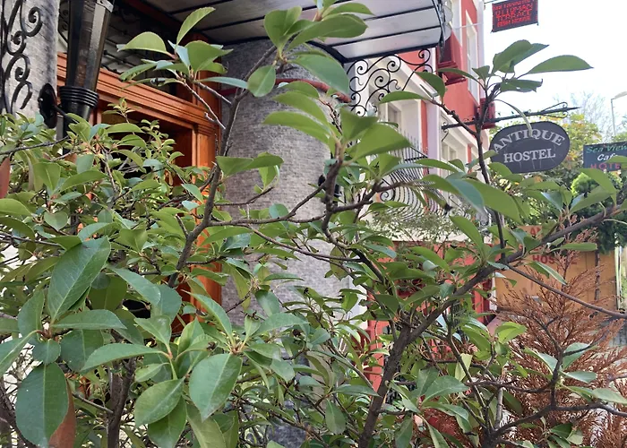 Antique * Κωνσταντινούπολη