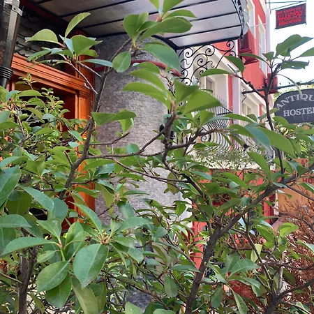 Antique Hostel *